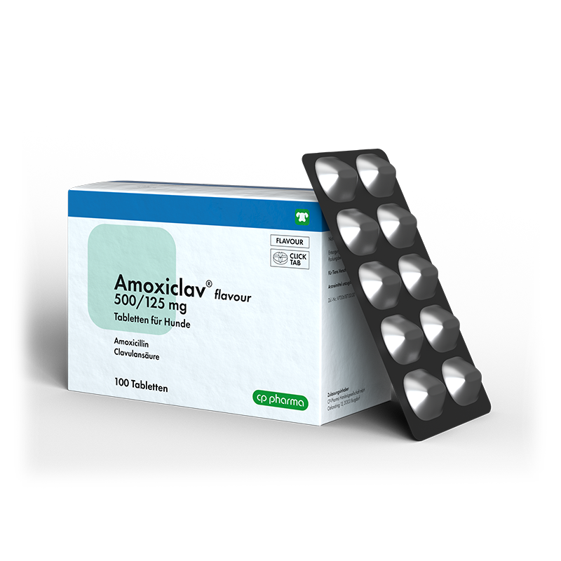 Amoxiclav flavour 500/125 mg, 100 Tabletten