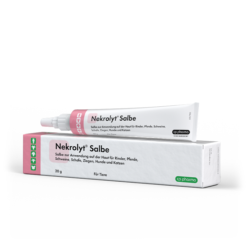 Nekrolyt Salbe, 20 g