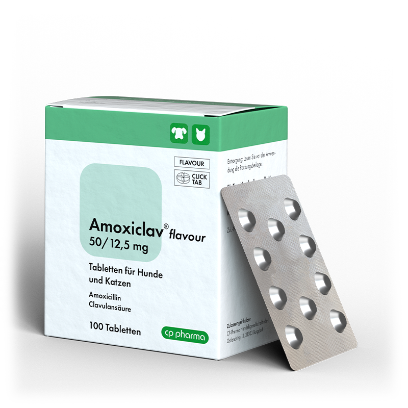 Amoxiclav flavour 50/12,5 mg, 100 Tabletten