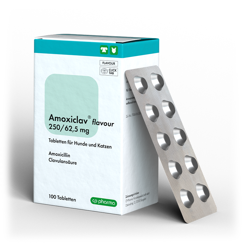 Amoxiclav flavour 250/62,5 mg, 100 Tabletten